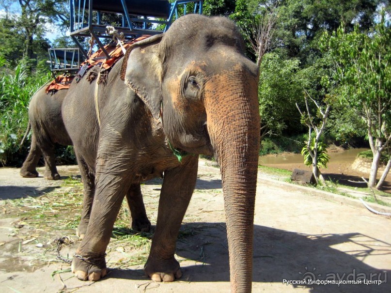 Отдых в городе Нячанг