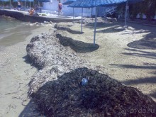 IMBAT-Облико не морале