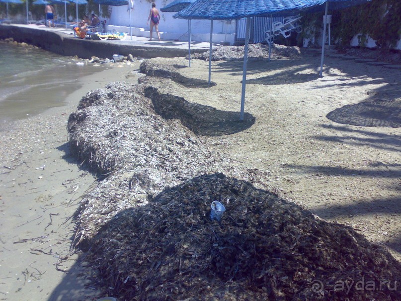 IMBAT-Облико не морале