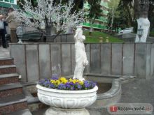 Если отдых на Кавказе - то только в Пятигорском Нарзане!