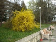 Если отдых на Кавказе - то только в Пятигорском Нарзане!