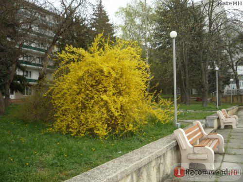 Если отдых на Кавказе - то только в Пятигорском Нарзане!