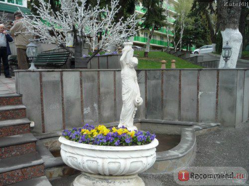 и неподалеку красивая форзиция: