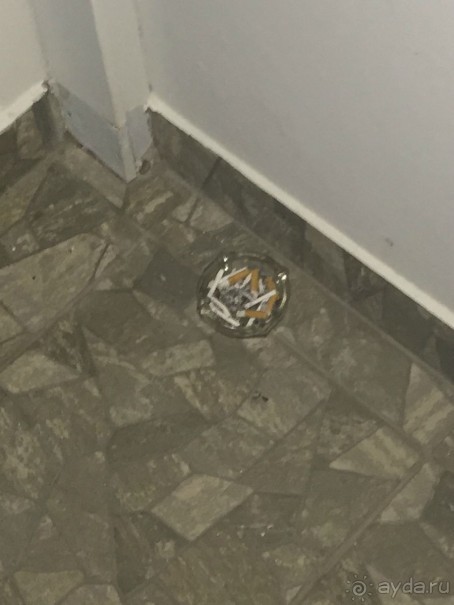 фото Apollo Apart Hotel