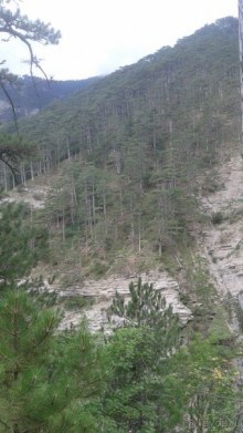 Гурзуф в сентябре