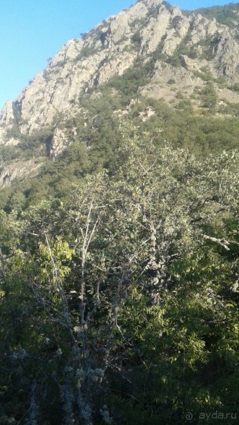 фото Гурзуфа