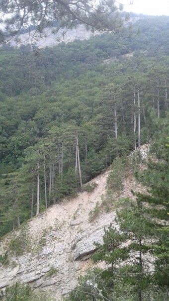 фото Гурзуфа