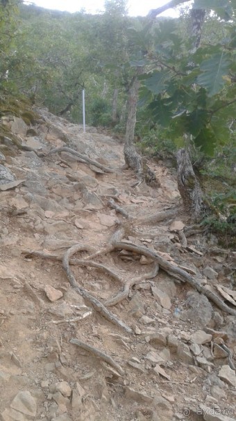 фото Гурзуфа