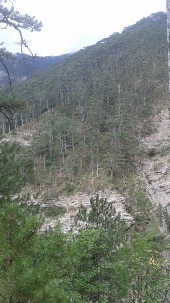 фото Гурзуфа