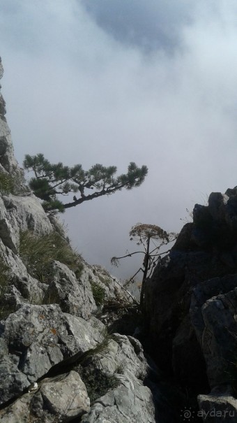 фото Гурзуфа