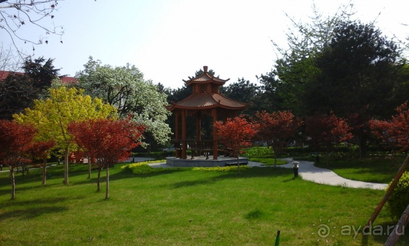 Внутренний дворик санатория