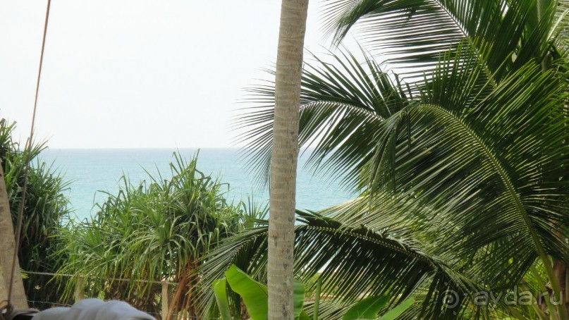 Амбалагонга 