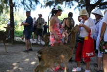 Отдых в Нячанге