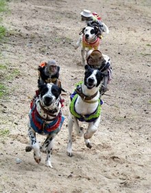 Отдых в Нячанге