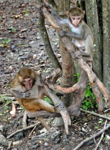 Отдых в Нячанге