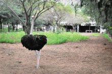 Отдых в Нячанге