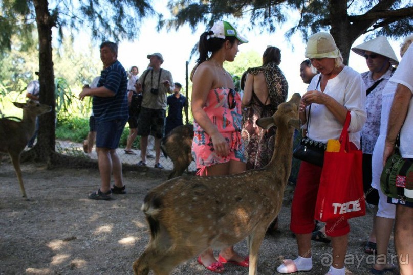 Отдых в Нячанге