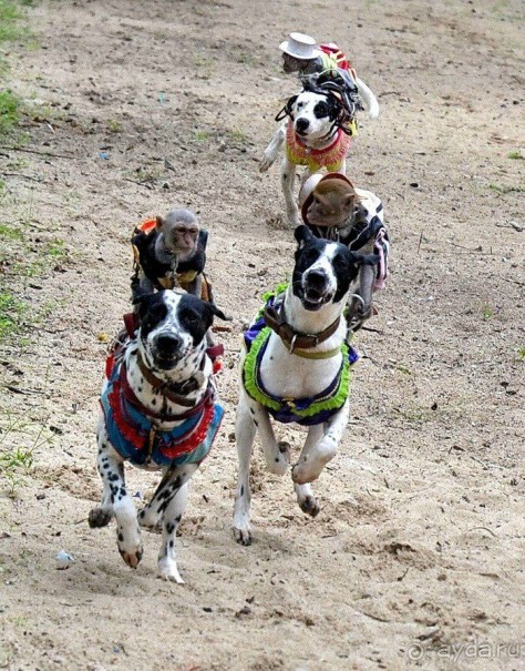 Отдых в Нячанге