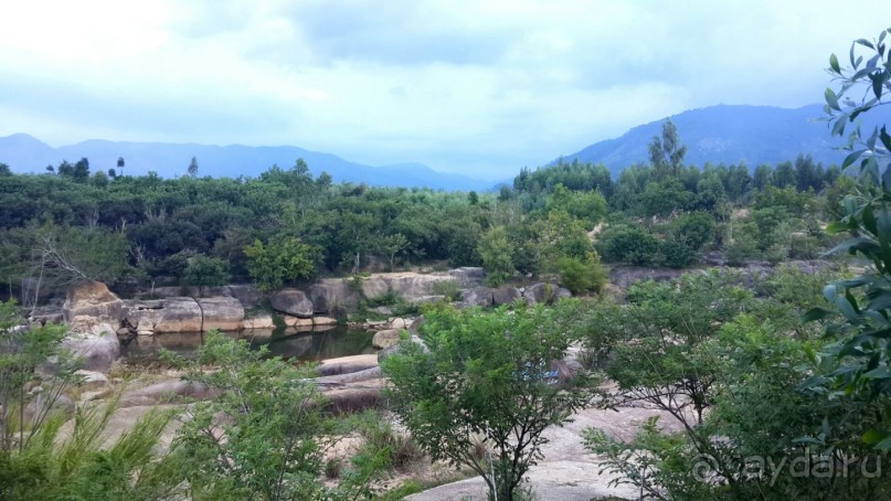 Сафари на квадроциклах