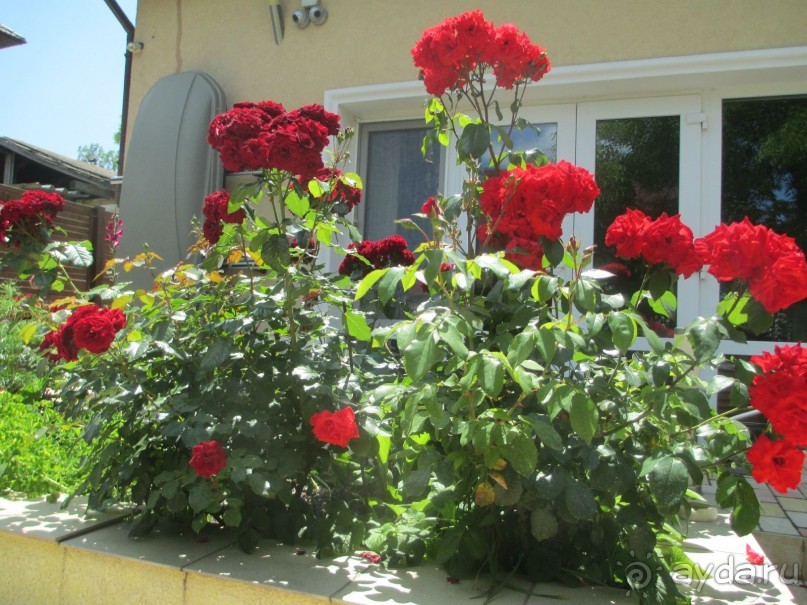 Пляжи Украины