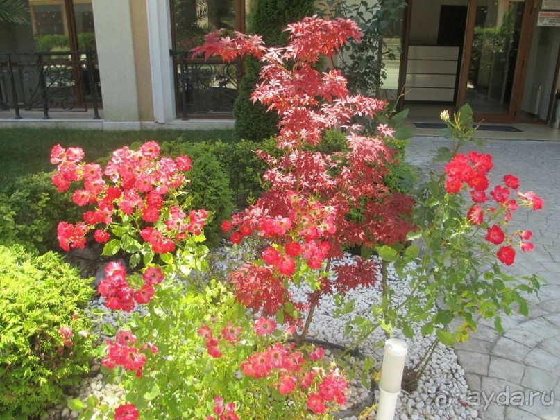 Замечательный отдых! 