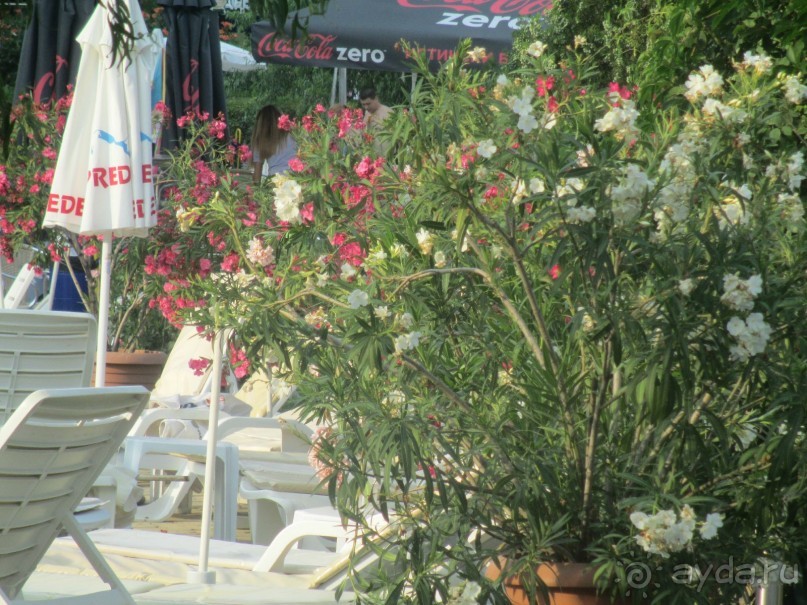 Замечательный отдых! 