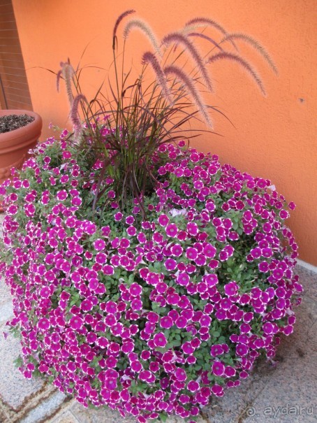 Замечательный отдых! 