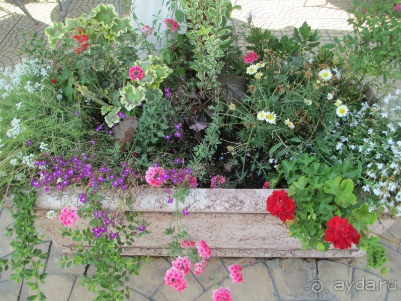 Замечательный отдых! 