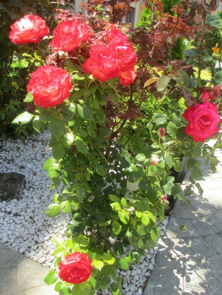 Замечательный отдых! 