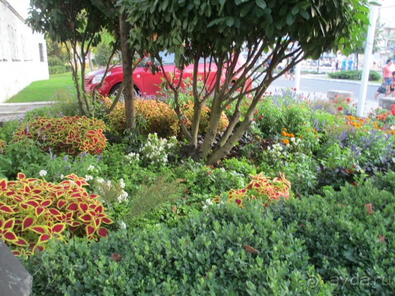 Замечательный отдых! 