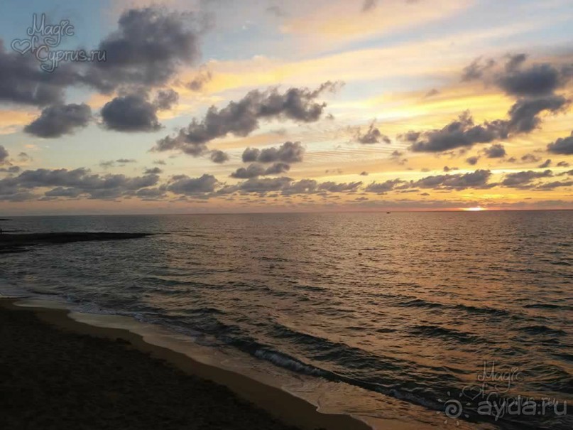 Альбом отзыва "Пляж возле отеля Venus Beach Hotel в Пафосе, Кипр"