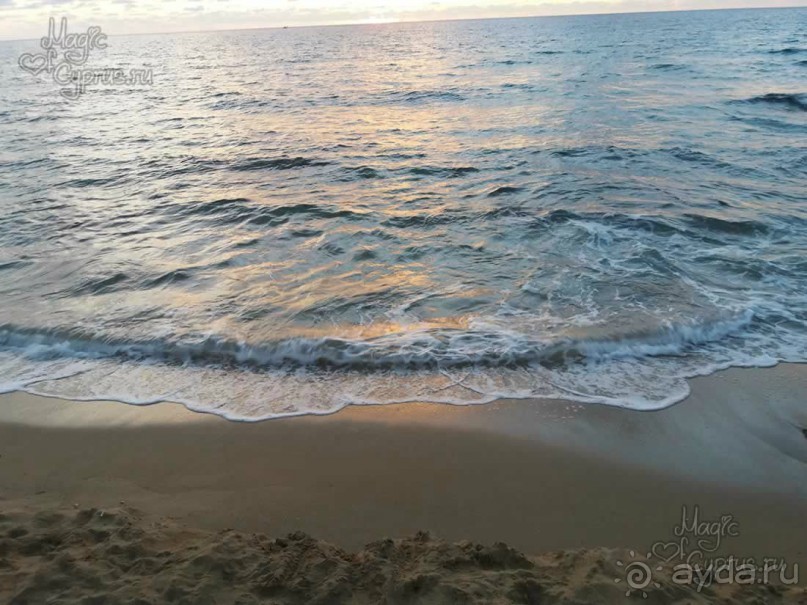 Альбом отзыва "Пляж возле отеля Venus Beach Hotel в Пафосе, Кипр"