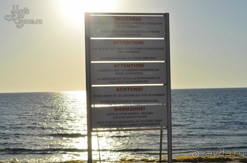 Альбом отзыва "Пляж возле отеля Venus Beach Hotel в Пафосе, Кипр"