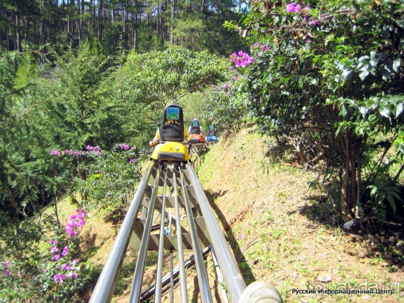 Вьетнам, Вьетнам