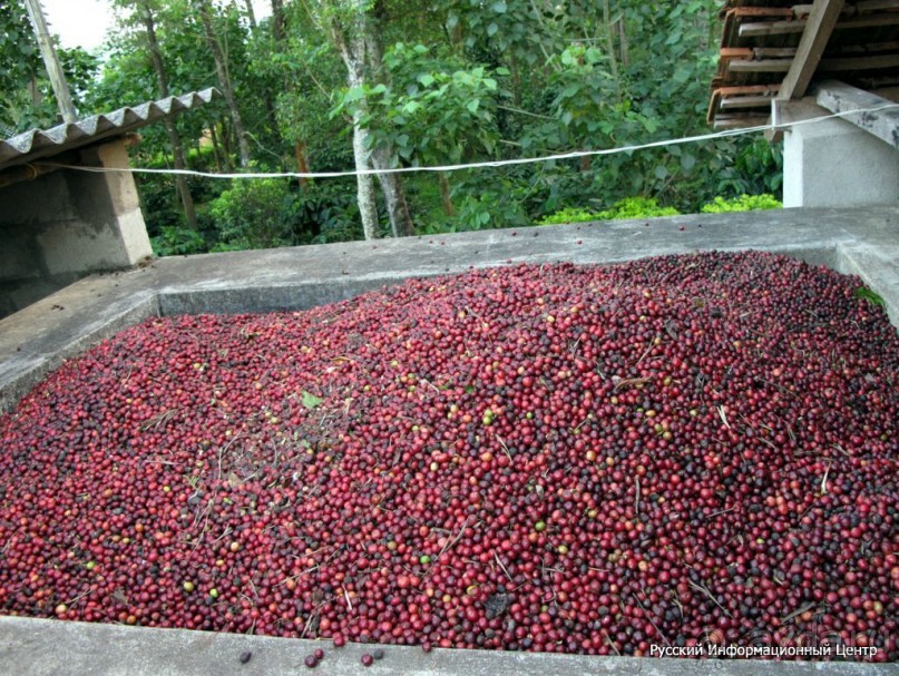 Вьетнам, Вьетнам