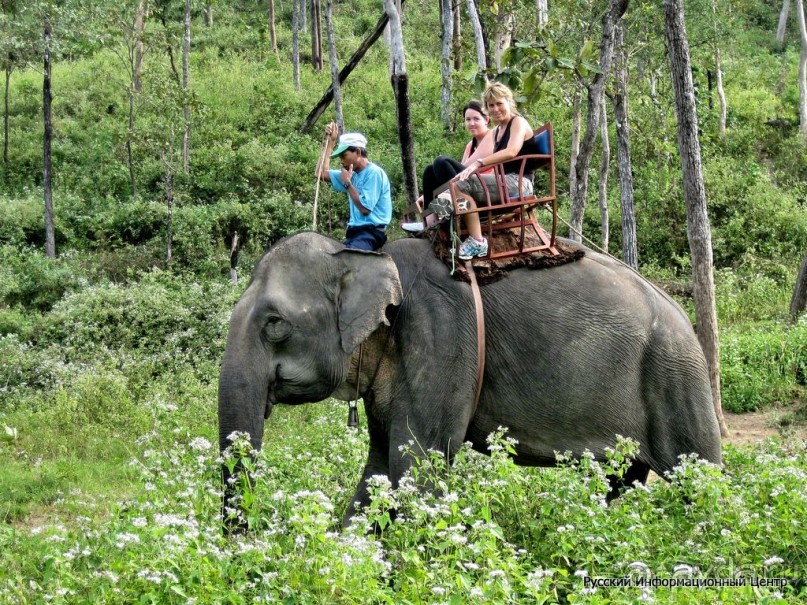 Вьетнам, Вьетнам