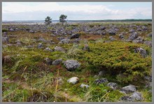 Соловецкий архипелаг в июне, часть 2.