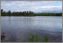 Соловецкий архипелаг в июне, часть 2.