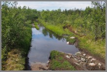 Соловецкий архипелаг в июне, часть 2.