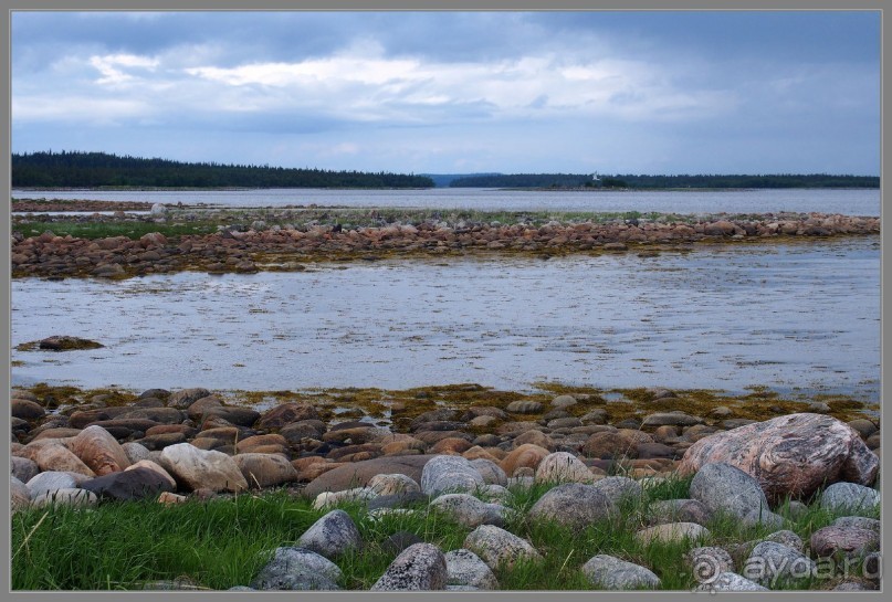 Соловецкий архипелаг в июне, часть 2.