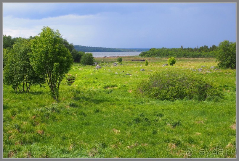 Соловецкий архипелаг в июне, часть 2.