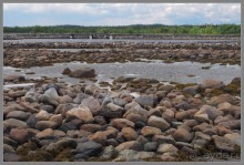 Соловецкий архипелаг в июне, часть 2.