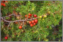 Небольшой отдых в Новом Свете, Крым.