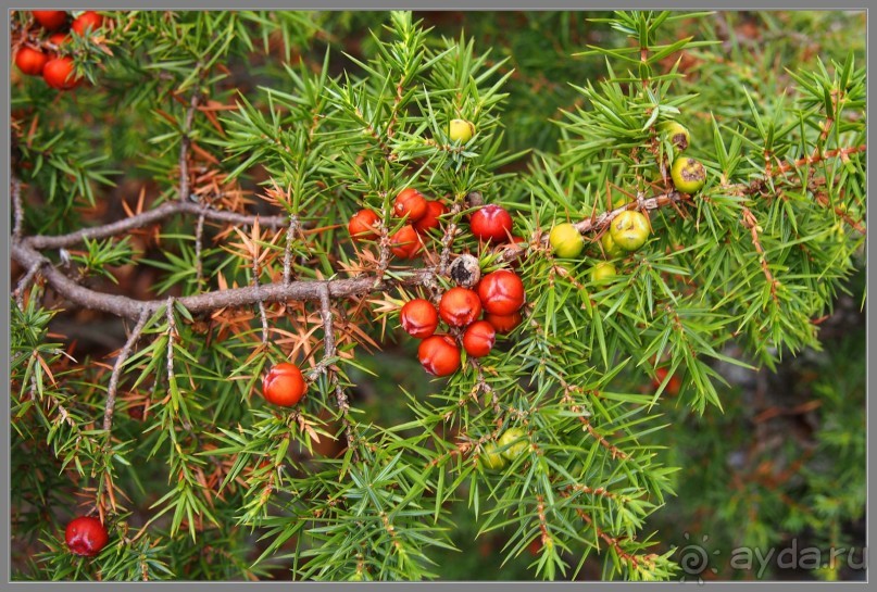 Небольшой отдых в Новом Свете, Крым.