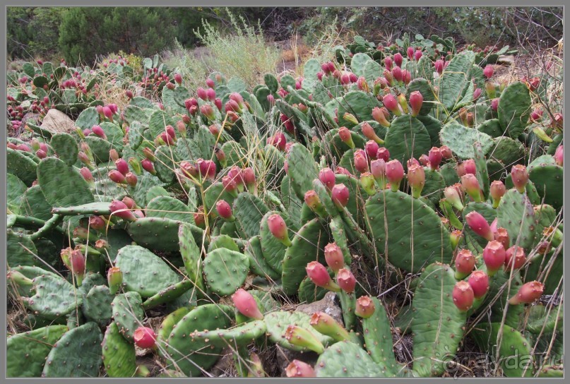 Небольшой отдых в Новом Свете, Крым.