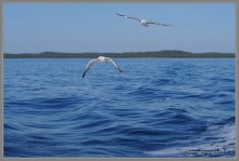 Соловецкий архипелаг в июне, часть 1.