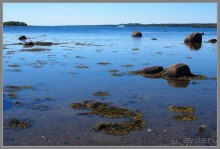 Соловецкий архипелаг в июне, часть 1.