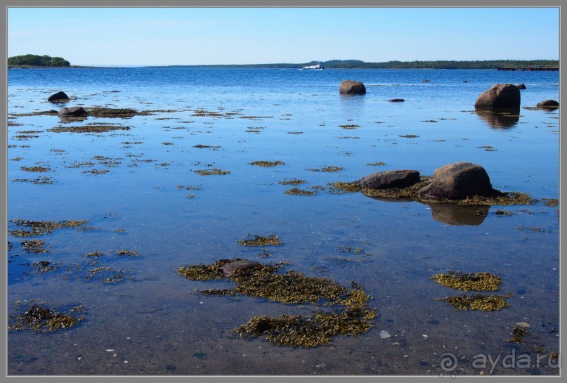 Соловецкий архипелаг в июне, часть 1.