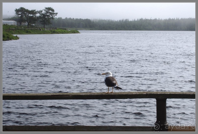 Соловецкий архипелаг в июне, часть 7, заключительная.