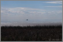 Один из дней "бабьего лета" в Мержаново, Ростовская область.